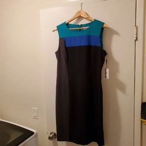 Calvin Klein Colorblock Sheath Dress